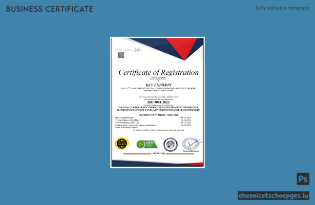 India Key Export-Registrierungszertifikat – Word- und PDF-Beispielansicht